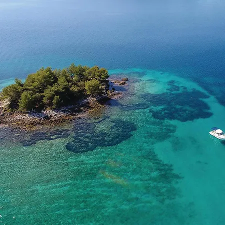 In With Sauna Sreser